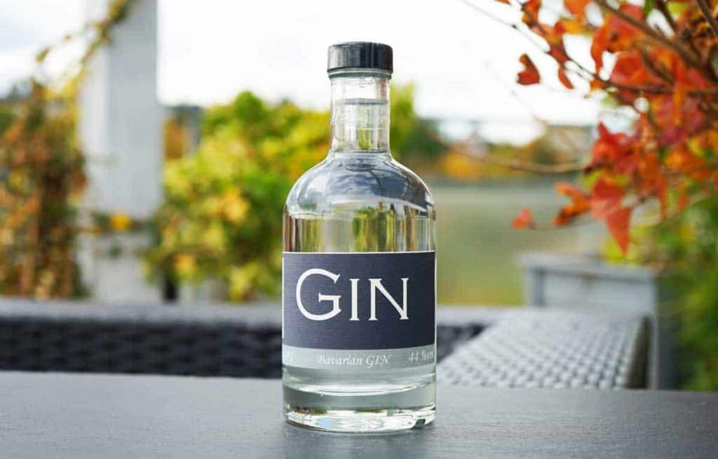 Auf einem dunklen Tisch im Freien steht eine Gin-Flasche aus klarem Glas mit einem dunklen Etikett, auf dem „GIN“ steht; im Hintergrund ist sie von Grünpflanzen und herbstlich gefärbten Blättern umgeben.