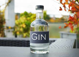 Testbericht Bavarian Gin
