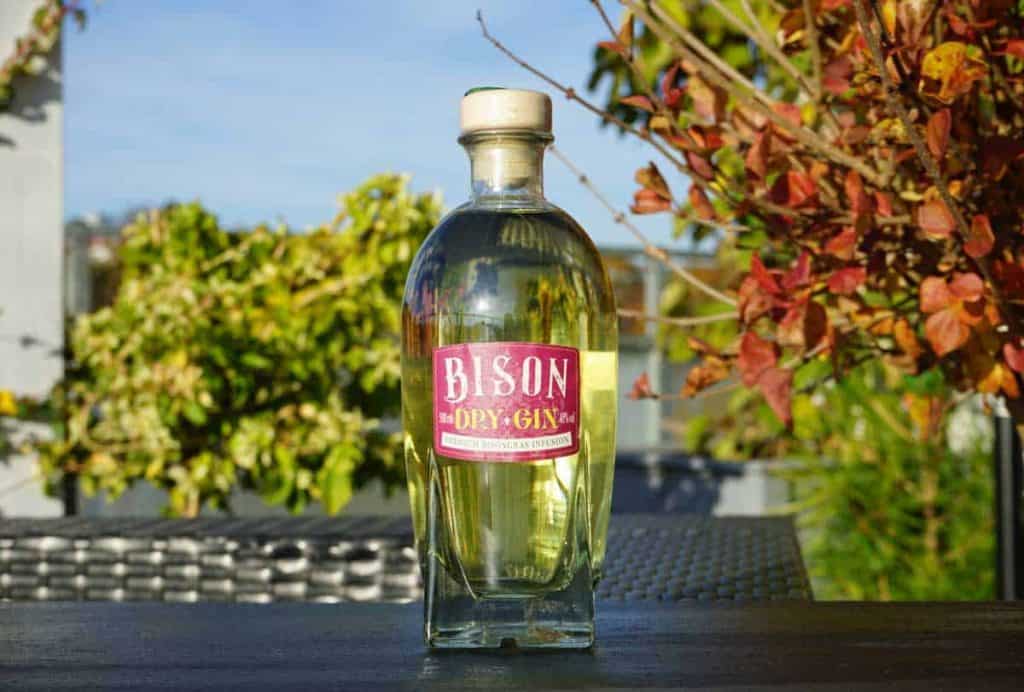 Auf einem schwarzen Gartentisch steht eine klare Glasflasche „Bison Dry Gin“ mit einem Holzverschluss, im Hintergrund sind buntes Laub und ein blauer Himmel zu sehen.