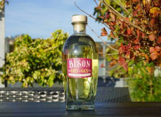 Testbericht Bison Dry Gin