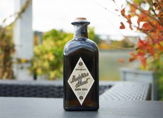 Testbericht Buddhas Hand Dry Gin