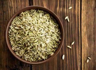 Fenchelsamen