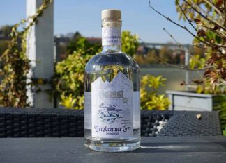 Testbericht Bergbrenner Gin