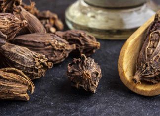 Kardamom