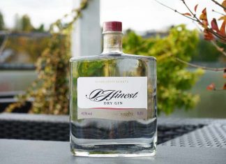 Testbericht PJFinest Dry Gin
