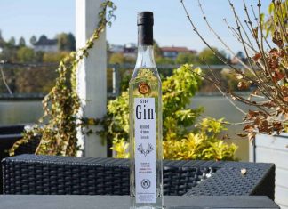 Testbericht Habbel Sloe Gin