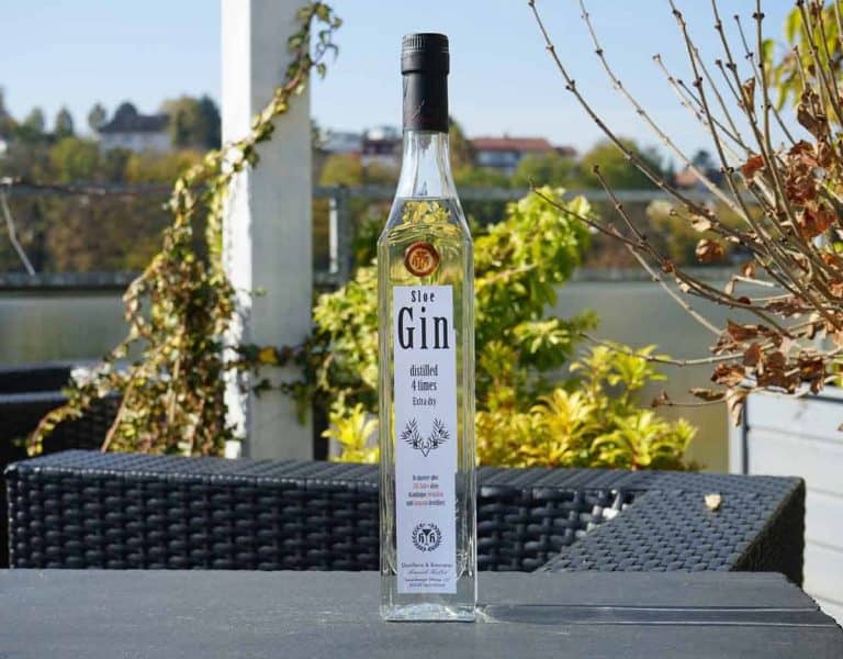Auf einem dunklen Tisch im Freien steht eine hohe, durchsichtige Flasche Sloe Gin mit einem schwarzen Verschluss. Im Hintergrund sind im hellen Sonnenlicht Grünpflanzen, ein Balkongeländer und Gebäude zu sehen.