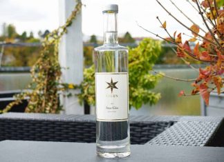 Testbericht Stern 44 Star Gin