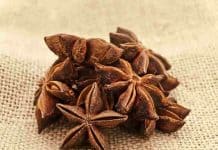 Sternanis als Gin Tonic Gewürz