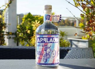 Testbericht Applaus Dry Gin Suedmarie