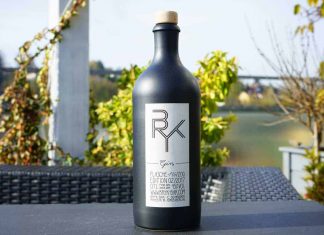 Testbericht BRYK Gin