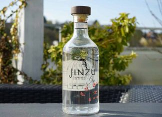Testbericht Jinzu Gin
