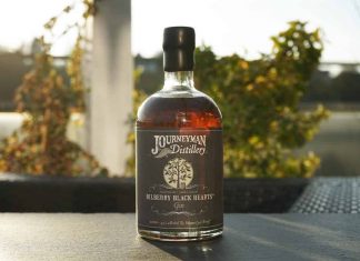 Testbericht Journeyman Distillery Bilberry Black Hearts Gin
