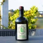 Testbericht Saarlouis Dry Gin