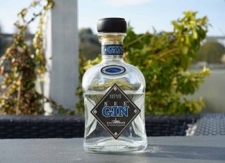 Testbericht Steinhäuser See Gin