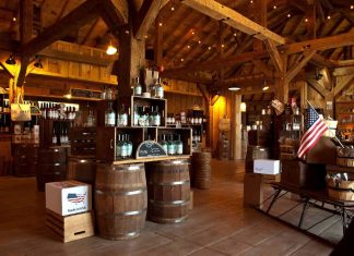 Das perfekte Gin Tasting