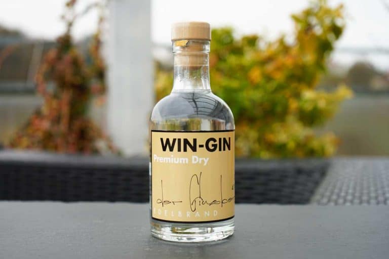Eine durchsichtige Glasflasche mit der Aufschrift „WIN-GIN Premium Dry“ steht im Freien auf einer dunklen Fläche, im Hintergrund ist verschwommenes grünes und gelbes Laub zu sehen.