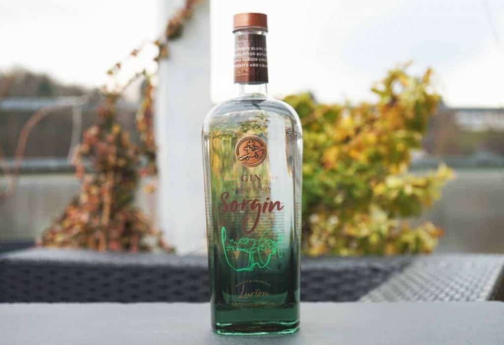Auf einem Tisch im Freien steht eine klare Glasflasche mit Gin der Marke „Sorgin“, im Hintergrund sind verschwommene Herbstblätter und Geländer zu sehen.