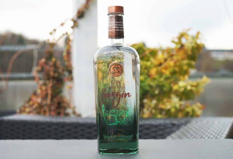 Auf einem Tisch im Freien steht eine klare Glasflasche mit Gin der Marke „Sorgin“, im Hintergrund sind verschwommene Herbstblätter und Geländer zu sehen.