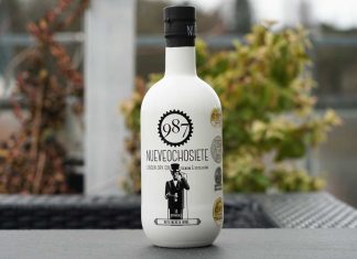 Testbericht 987 Nueveochosiete Gin
