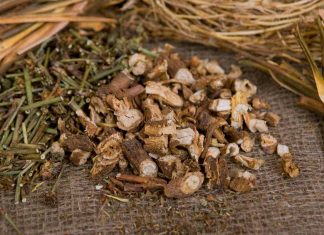 Süßholz als Gin Tonic Gewürz