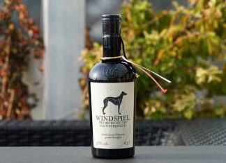Testbericht Windspiel Premium Dry Gin Navy Strength