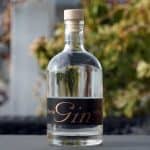 Testbericht Fellbach Dry Gin
