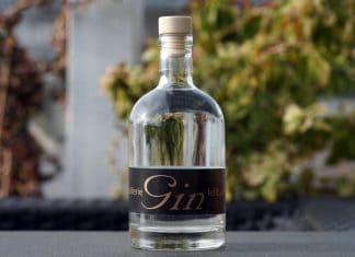 Testbericht Fellbach Dry Gin