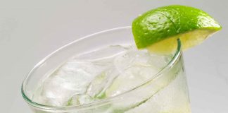 Gin Rickey – Gin Cocktail