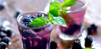 Sloe Gin Bramble – Gin Cocktail