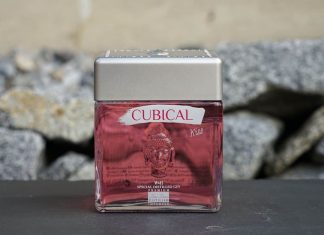 Testbericht Cubical Premium Special Dry Gin Kiss