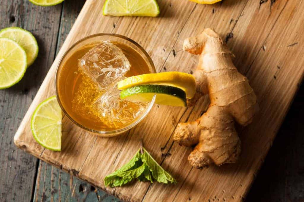 Ein Glas eisgekühltes Ingwergetränk, garniert mit Zitronen- und Limettenscheiben, steht auf einem Holzbrett, daneben liegen frische Ingwerwurzeln, Limettenscheiben und Minze.