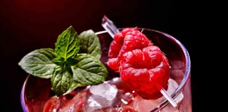 Nadaris – Gin Cocktail