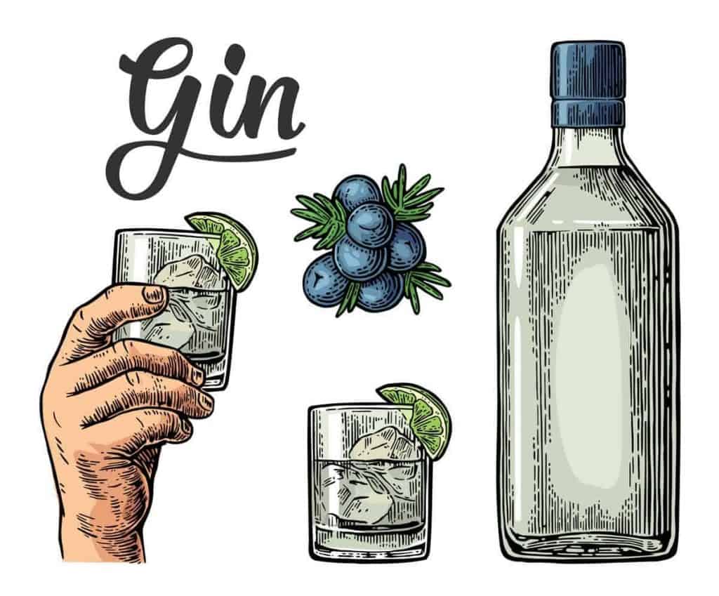 Abbildung einer Gin-Flasche, zweier Gläser mit Eis und Limette, einer Hand, die ein Glas hält, Wacholderbeeren und dem Wort „Gin“ in Schreibschrift.