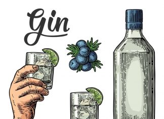 World Gin Day – der Tag des Gins