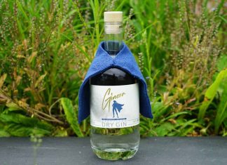Testbericht Ginera Gin