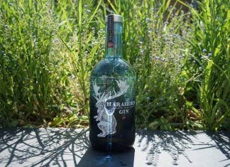 Testbericht Harahorn Gin