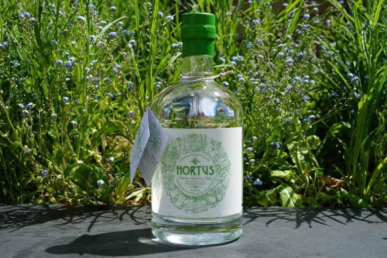 Eine durchsichtige Flasche Hortus-Gin mit einem grünen Verschluss steht auf einer Steinfläche, umgeben von üppigem grünem Gras und kleinen blauen Blumen im Freien.