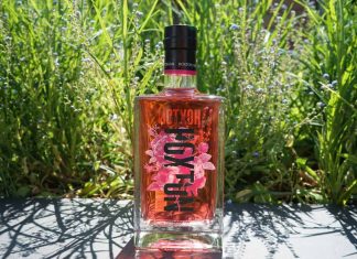 Testbericht Hoxton Pink Gin