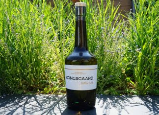 Testbericht Kongsgaard Raw Gin