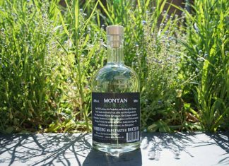 Testbericht MONTAN Gin