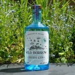 Testbericht Wild Burrow Deutschlands - Gin-Blog Ginnatic Irish größter Distilled Slow Gin 
