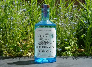 Testbericht Wild Burrow Slow Distilled Irish Gin