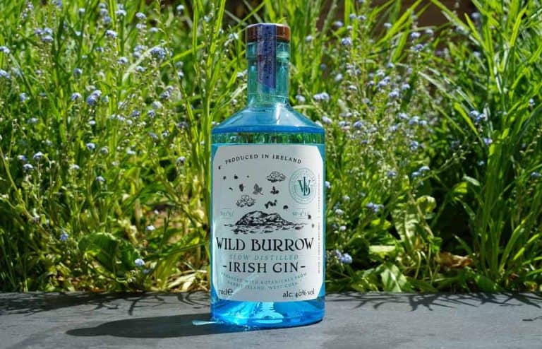 Eine Flasche „Wild Burrow Irish Gin“ steht im Freien auf einer Steinfläche, im Hintergrund sind grünes Gras und kleine violette Blumen zu sehen.