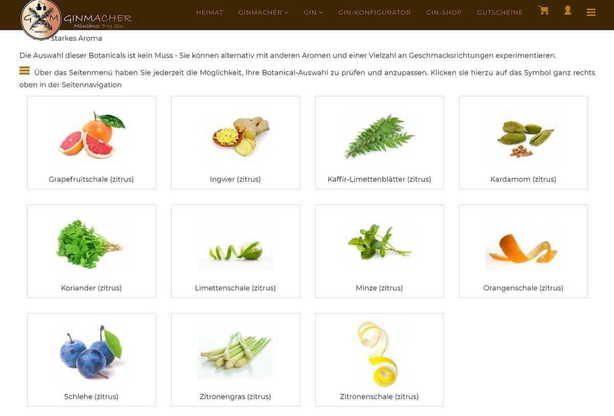 Auf einer Webseite wird ein Raster aus Bildern angezeigt, das verschiedene Zitrus-Zutaten wie Grapefruit, Ingwer, Kaffernlimette, Kardamom, Koriander, Zitrone, Orange, Limettenschale, Gurke und Zitronenschale zeigt.