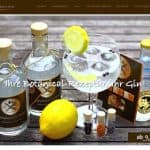 Ginmacher.de – Gin selbst zusammenstellen