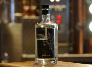 Testbericht Schwangau Dry Gin