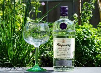 Testbericht Tanqueray Bloomsbury London Dry Gin