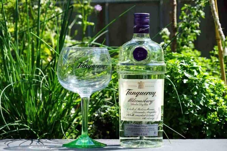 Auf einem Tisch im Freien stehen eine Flasche Tanqueray Bloomsbury Gin und ein passendes Gin-Glas, umgeben von üppigen grünen Pflanzen und in strahlendem Sonnenlicht.