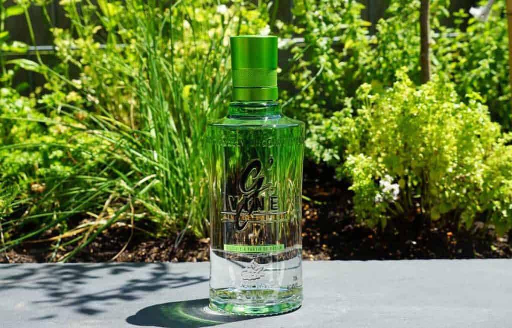 Eine Flasche GVine Floraison Gin mit grünem Verschluss steht im Freien auf einer dunklen Fläche, während im sonnenbeschienenen Hintergrund üppig grüne Kräuter und Pflanzen wachsen.